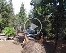 calbacatas_sur_de_bariloche 23/11/2019 - Vidéo - Un peu long à visionner - cinq minutes - mais nous on ne s'en lasse pas 😊 Vidéo - Five minutes of our three hour ride 