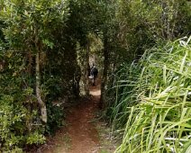 IMG_20191016_150918 16/10/2019 - Patricio et ses frères ont mis deux mois pour aménager des chemins, lesquels servent plus souvent à leurs vaches qu'aux clients du camping....
