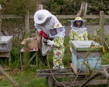 IMG_5665 06/10/2019 - Les petits enfants d'Harriet et Sergio ont droit à leur formation d'apiculteurs à Frutillar. Back in Frutillar where Sergio and Harriet's...