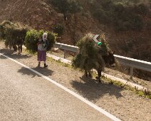 G37A3045 Femmes et bourricots hélas presque à la même enseigne dans le milieu rural.