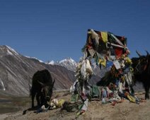 13_India_Zanskar_Penzi_La_22_06_07