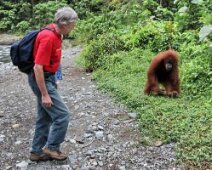 013_Sumatra_Nat_Park_22_02_09